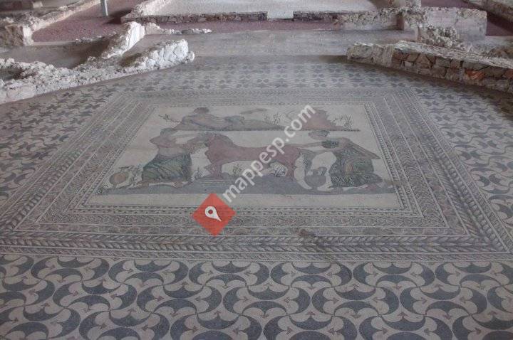 Museo Villas Romanas Mvr