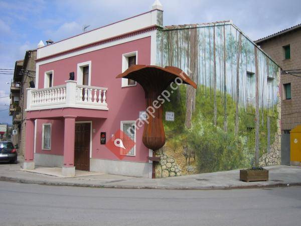Museu Art del Bolet Josefina Vilajosana