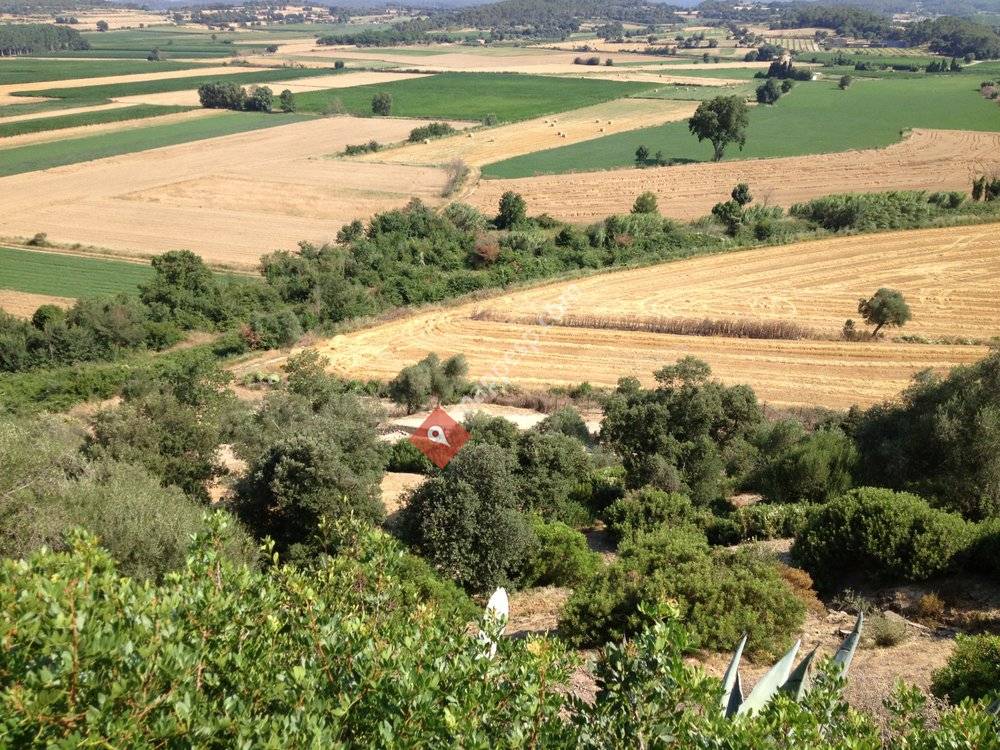 Museu Darqueologia de Catalunya- Ullastret