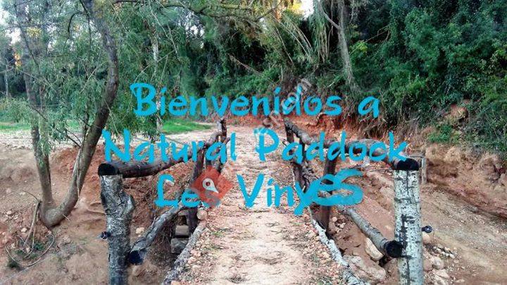 Natural-Paddock Les Vinyes