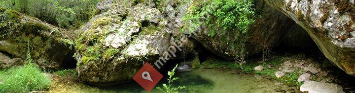 Naturalezafotoafoto