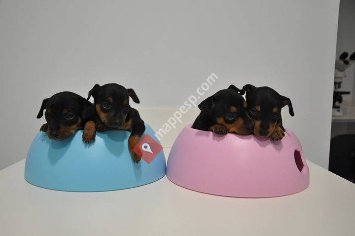 Naya Clínica Veterinaria
