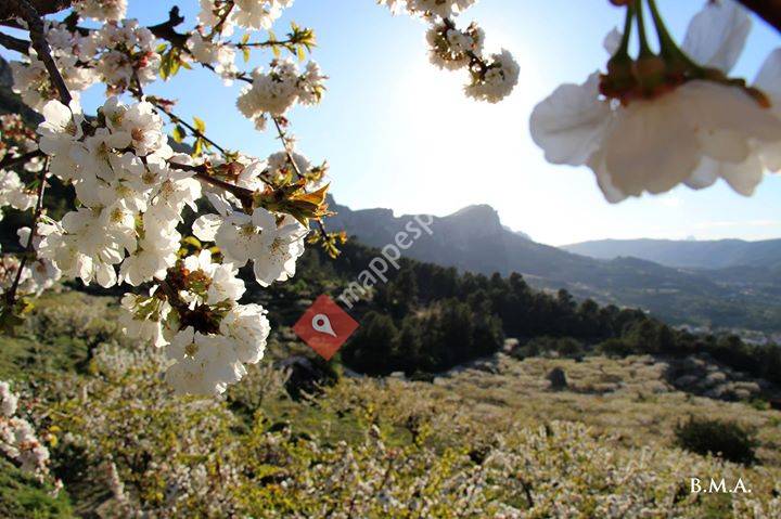 Nou Tarraso Beniali