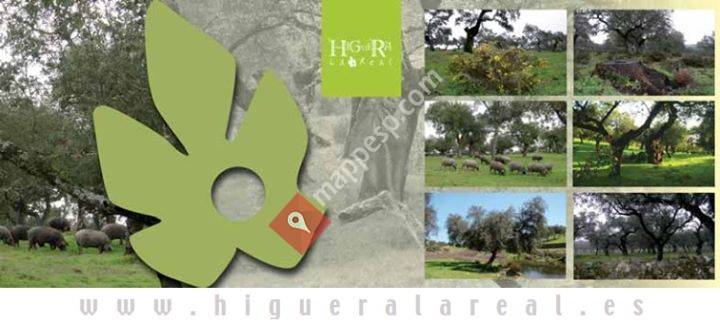 Oficina de Turismo de Higuera la Real