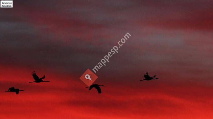 Oficinaturismo Gallocanta