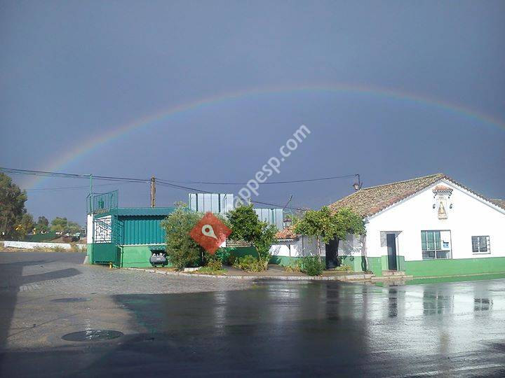 Olivaluna Cooperativa Olivarera