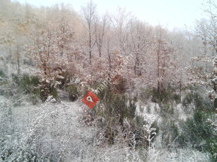 Olleros De Alba, Castilla y León, Spain