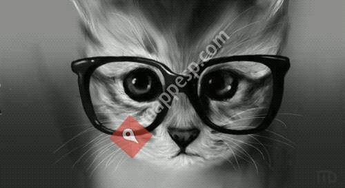 Optica Sanchez Rubal Asturias