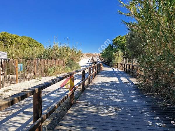 [P] Aparcamiento Playa del Carabassí