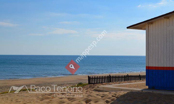 Paco Tenorio Inmobiliaria