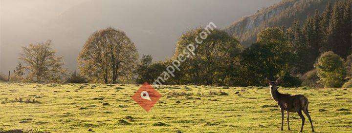Pagorriaga Agroturismo