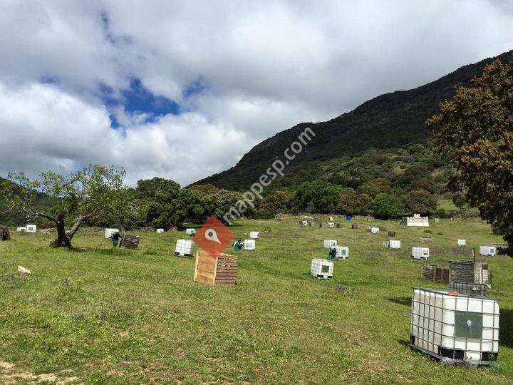 PAINTBALL Sierra de san Vicente
