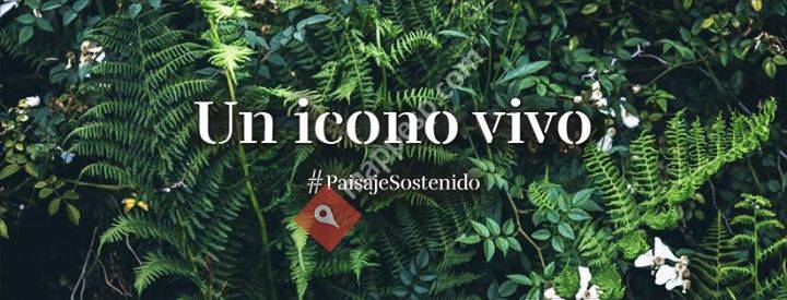 Paisaje Sostenido