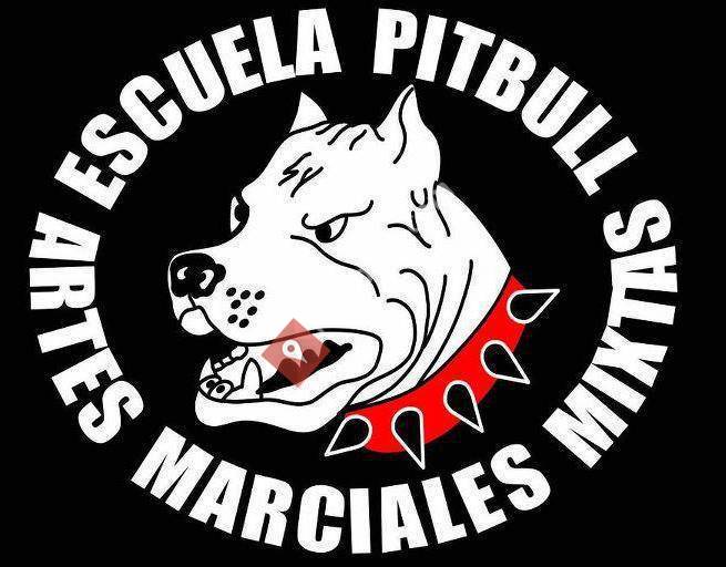 Pajina pibull