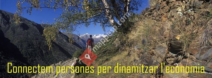 Pallarsactiu