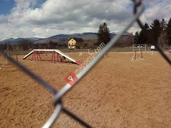 PARC CAN GOS Centre d'Ensinistrament i Activitats Canines
