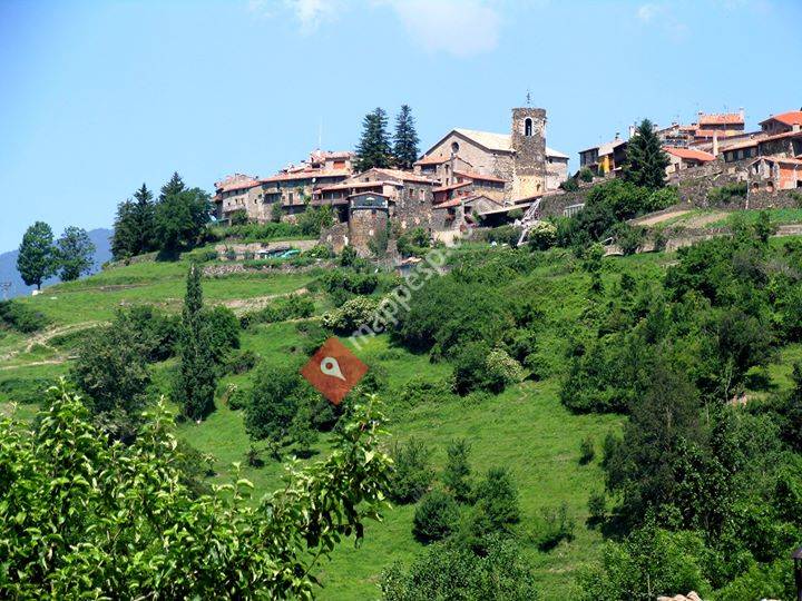 Pardinas
