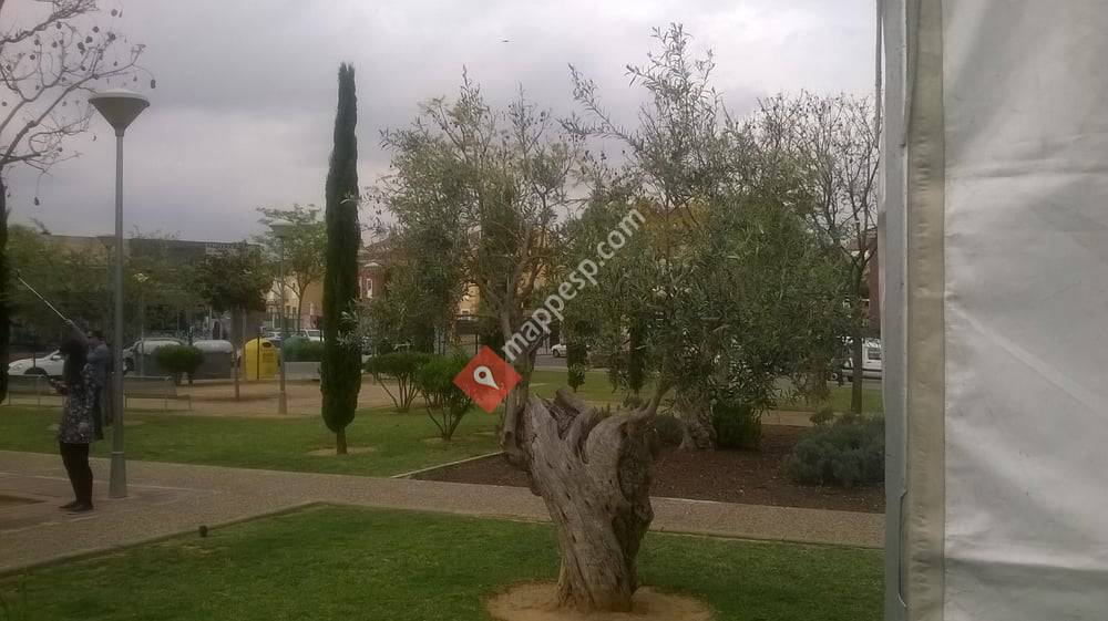 Parque del Jardinillo