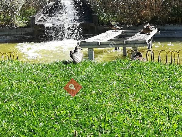 Parque Infantil Del Lago