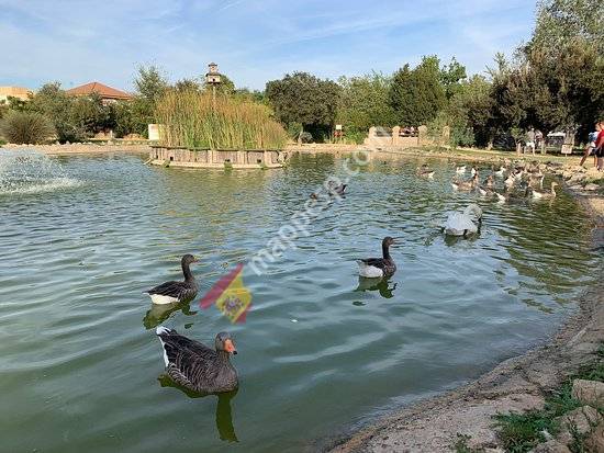 Parque Municipal de Gines