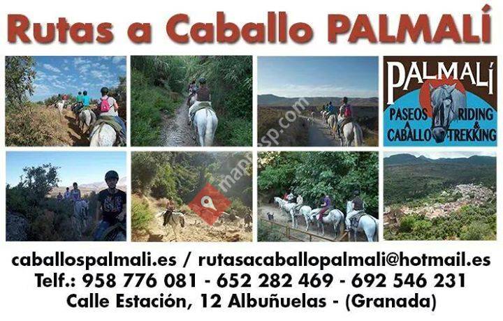 Paseos a Caballo palmali