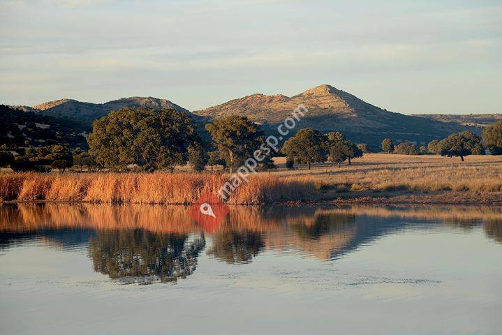 PASTORES DE SIERRA MORENA ORIENTAL Y VALLE DE ALCUDIA