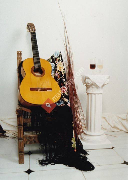 Peña Cultural Flamenca San Martín de Valdeiglesias