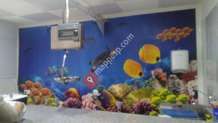 Peixateria ELS PORTS