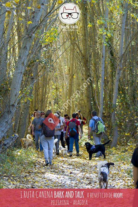 Pelegrina, Castilla-La Mancha, Spain