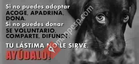 Peludos Anónimos