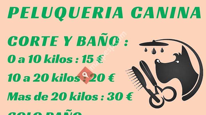 Peluquería canina