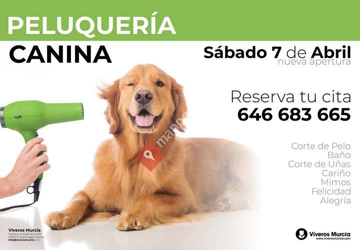 Peluquería Canina Viveros Murcia