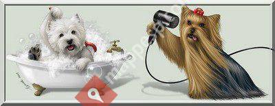 PELUQUERA CANINA