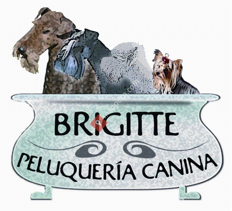 Peluqueria Canina Brigitte