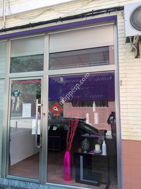 Peluqueria Y Estetica Maria Jose Ciscar
