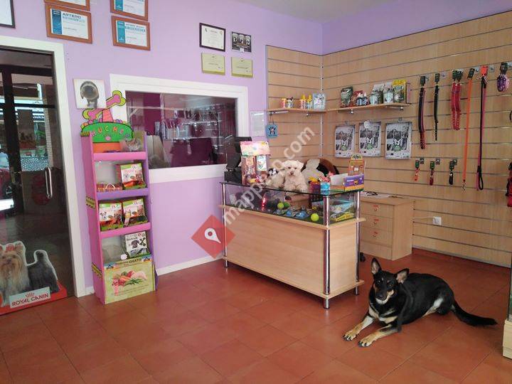 Pequeños Peludos