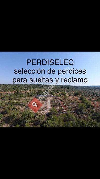 Perdiselec