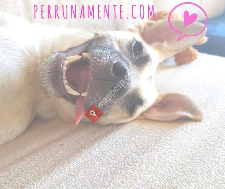 Perrunamente