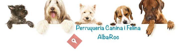Perruqueria Canina i Felina AlbaRoc