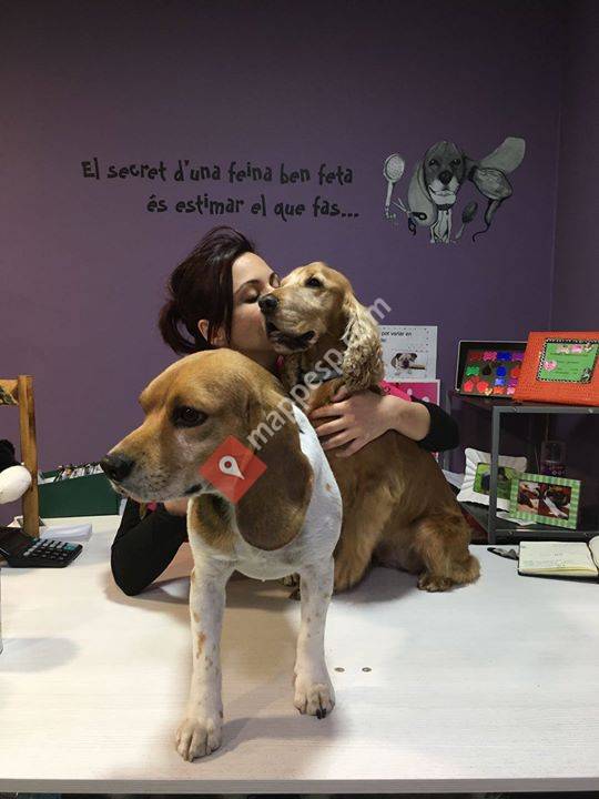 Perruqueria Canina Jordina