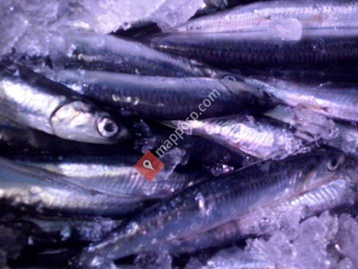 Pescadería Amparo
