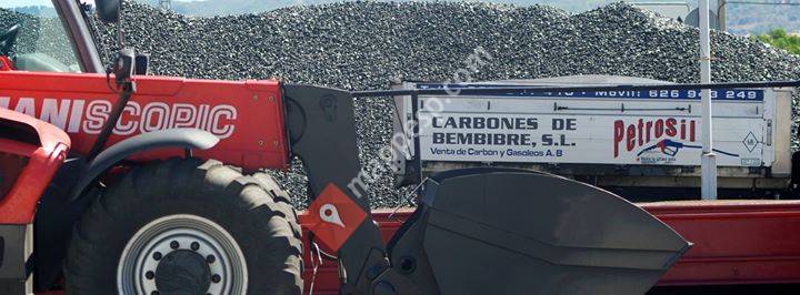 Petrosil_es