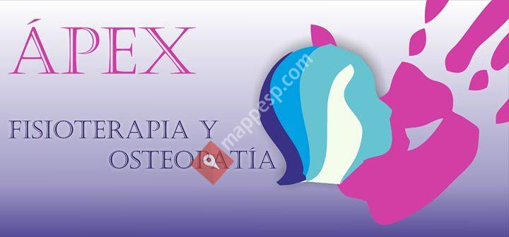 Ápex Fisioterapia y Osteopatía