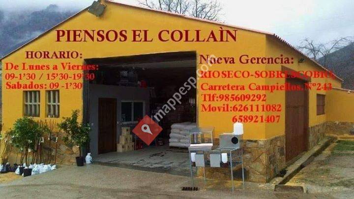Piensos el collain