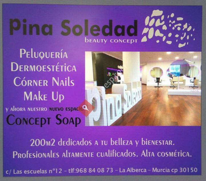 Pina soledad beauty concept