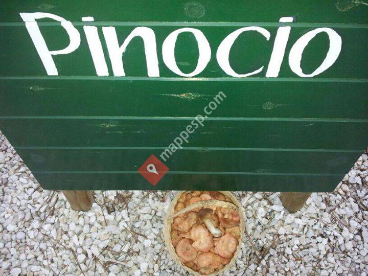 Pinocio Parque de Aventura