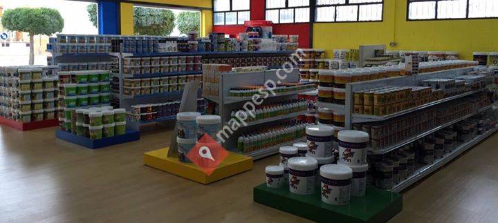 Pinturas Algaidas