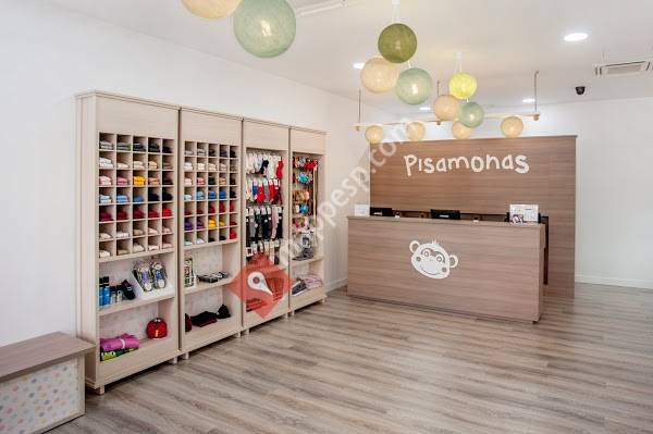 Pisamonas