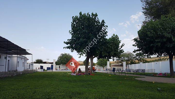 Piscina Municipal de Villanueva De La Reina