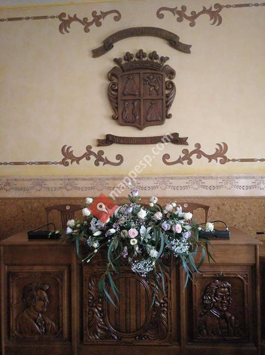 Plantes Masó